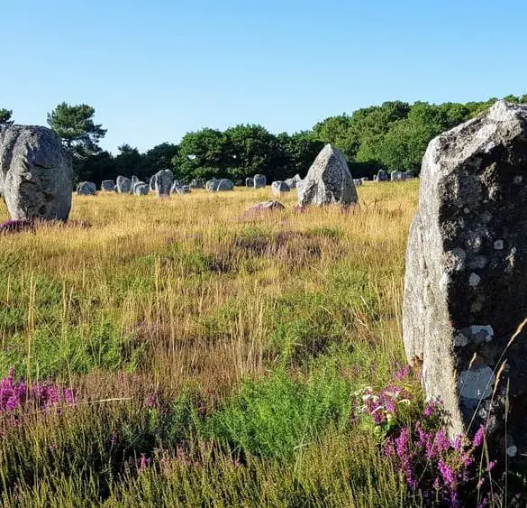 site prehistorique Carnac en famille