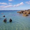 Vacances en famille dans le Morbihan initiation à la plongée OneTwoTripscom Visiter Strasbourg en famille alentours | Voyages Enfants