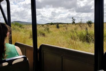 Safari en famille dans le parc Kruger