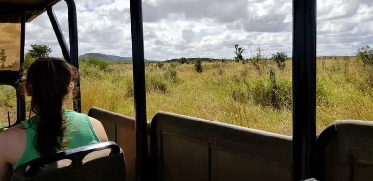 Safari en famille dans le parc Kruger