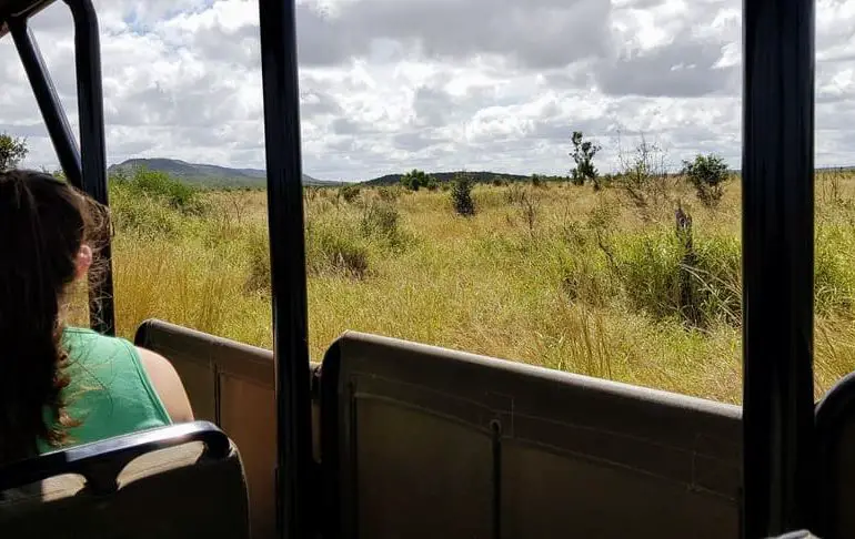 Safari en famille dans le parc Kruger