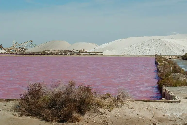 Camargue en famille Salins