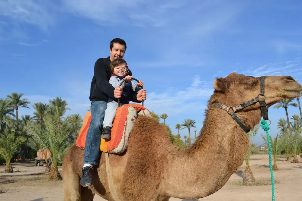 Week end Marrakech avec enfant en hiver Marrakech en famille en 3 jours | Blog VOYAGES ET ENFANTS