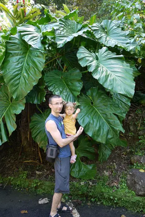 Séjour Guadeloupe avec bébé Guadeloupe avec bébé 18 mois témoignage dune maman | Blog VOYAGES ET ENFANTS