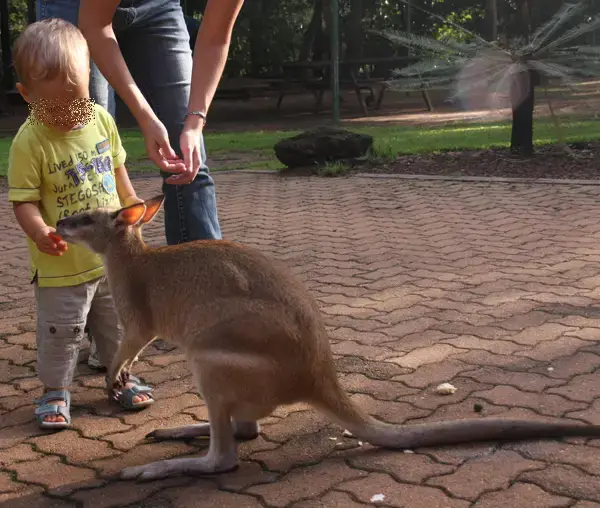 Kakadu Parc En famille Australie Nord Australie en famille Darwin | Blog VOYAGES ET ENFANTS