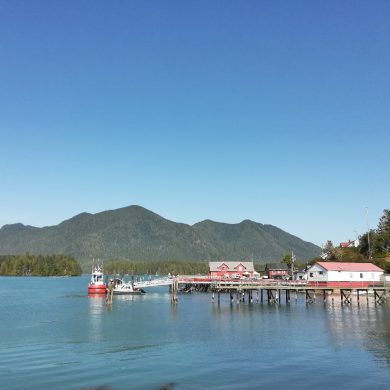 Pacific Rim en famille - Ile vancouver Canada