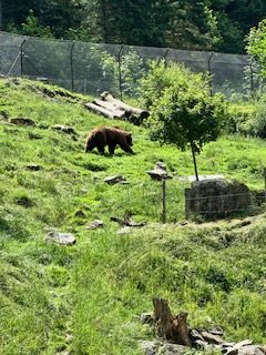 1 semaine de road trip Autriche Slovénie VOYAGES ET ENFANTS