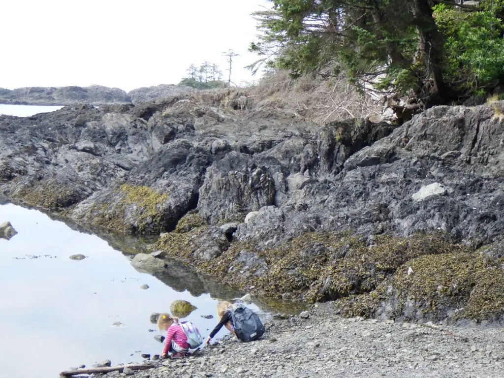 Vancouver famille Pacifique Tofino