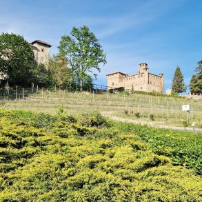 Visiter les Langhe Visiter les Langhe en Italie | Blog VOYAGES ET ENFANTS