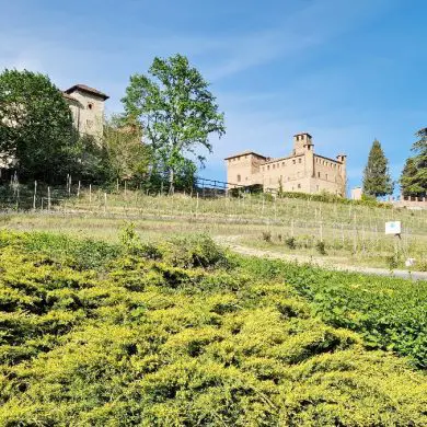 Visiter les Langhe