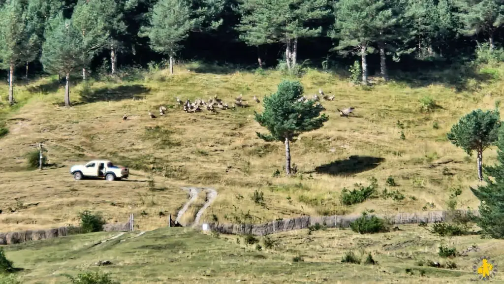 Randonnées faciles dans Pyrénées