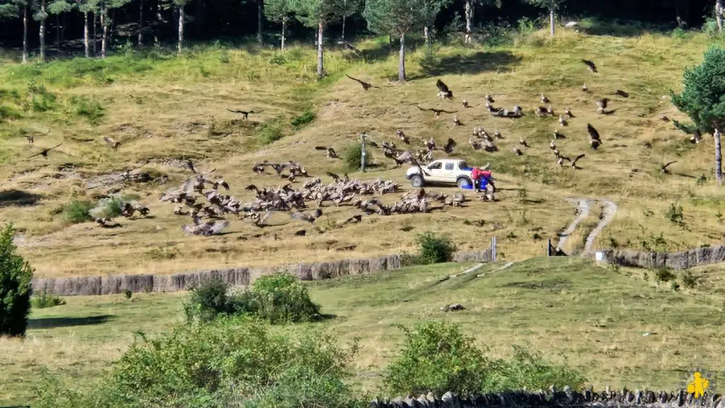 Road-trip dans Pyrénées espagnoles