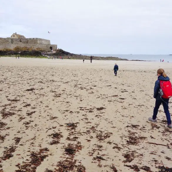 Nos balades préférées dans les Côtes d'Armor avec les enfants 21 Randonnée facile cote armor