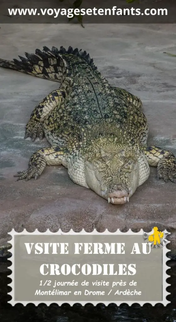 Visite de la Ferme aux Crocodiles en famille | Blog VOYAGES ET ENFANTS