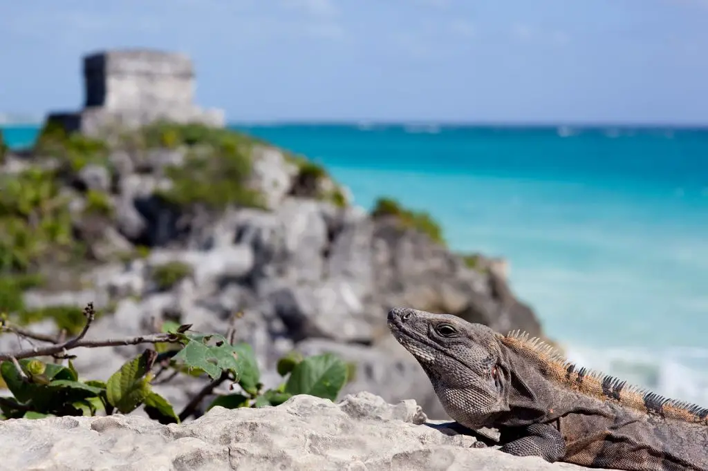 Tulum en famille Visiter Tulum en famille