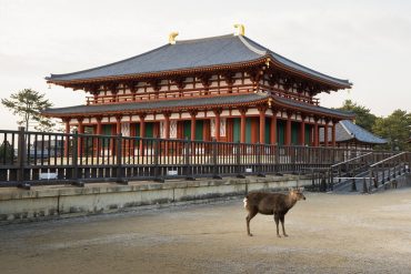 Visite de Nara en famille
