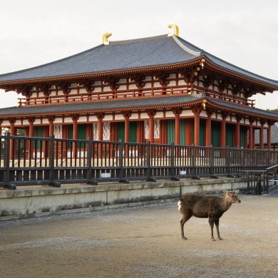 Visite de Nara en famille