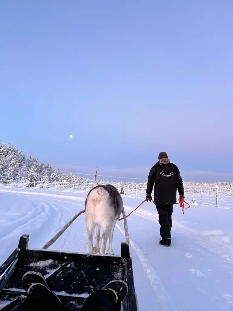Rovaniemi en famille Ferme de renne Séjour magique à Rovaniemi en famille à Noël en 1 semaine
