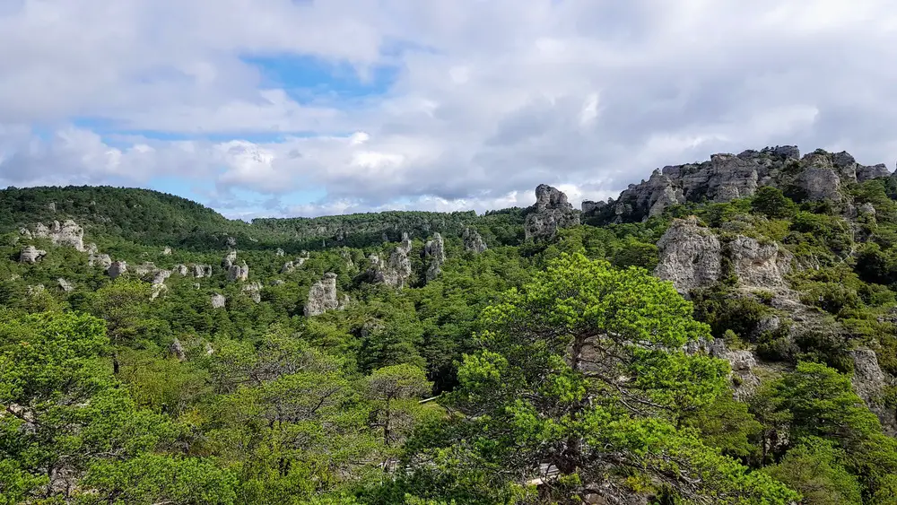 voyage en Aveyron et Lozère en famille Visite de Rodez en famille séjour entre Aveyron et Lozère