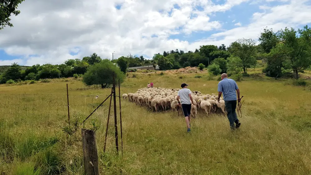 voyage en Aveyron et Lozère en famille Visite de Rodez en famille séjour entre Aveyron et Lozère