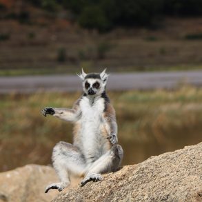 Que voir à Madagascar en famille