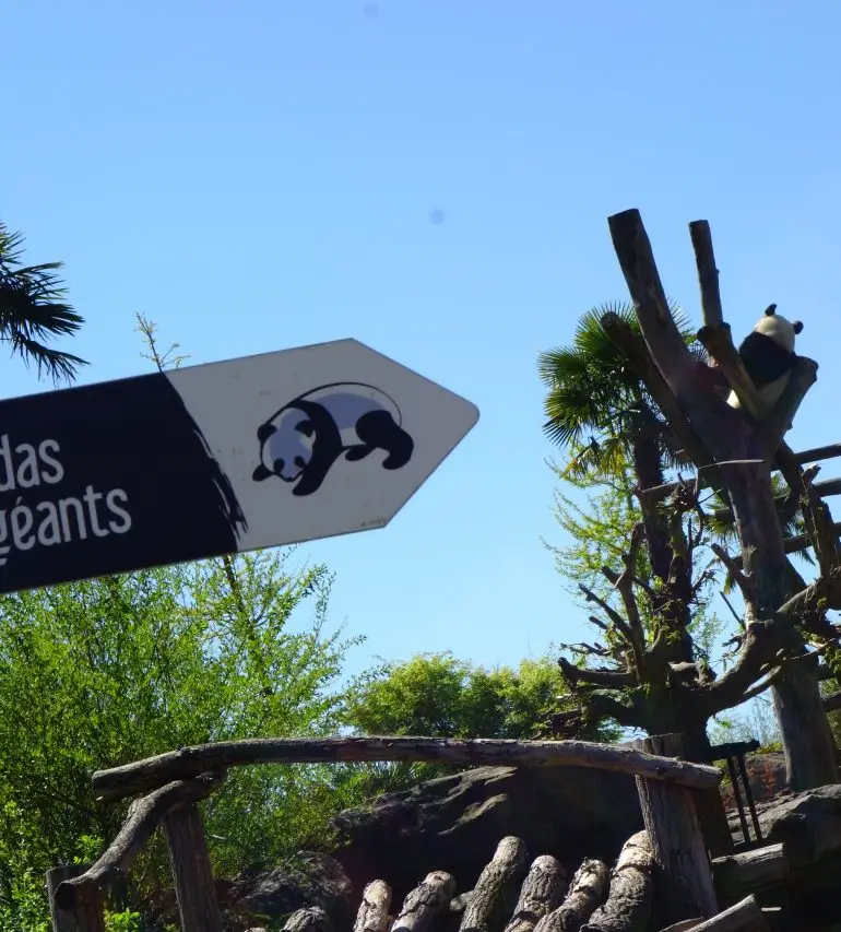 Visite Beauval en famille