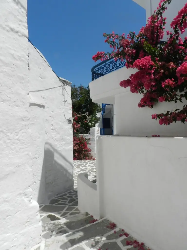 iles grecques en famile Iles grecques en famille Vacances à Naxos Paros Santorin