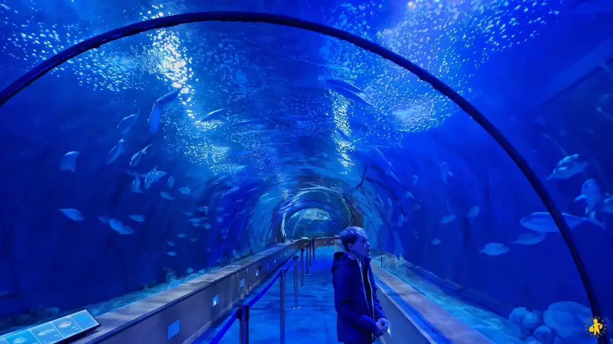 cité Arts Valencia aquarium sciences pour enfants