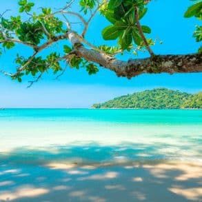 destination de reve famille