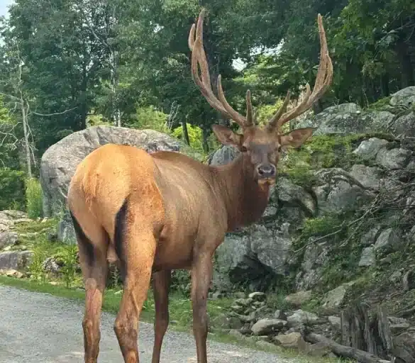Parc omega en famille avis
