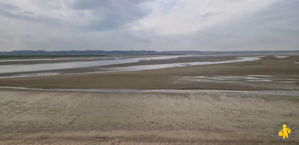 Découvrir la Baie de Somme en famille : plongée nature dans le Nord