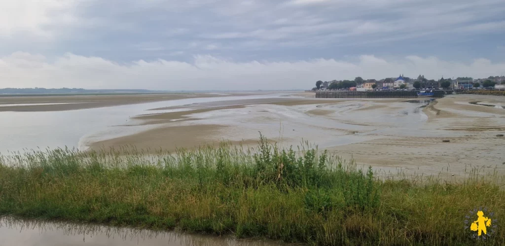 Découvrir la Baie de Somme en famille : plongée nature dans le Nord