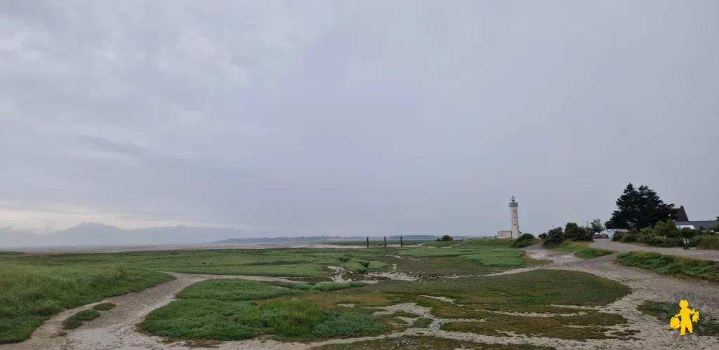 Découvrir la Baie de Somme en famille : plongée nature dans le Nord