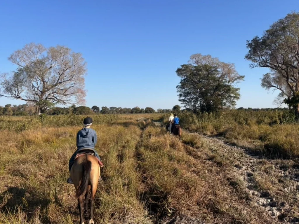 Itinéraire Brésil : Nordeste et Pantanal en famille 6 Pantanal en famille safari