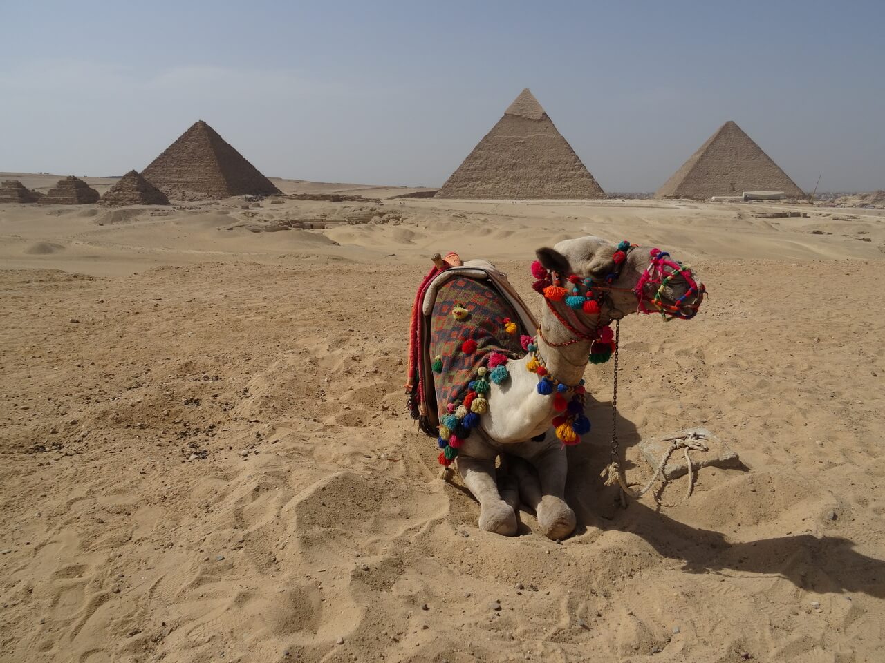 Que voir en Egypte avec des enfants ?