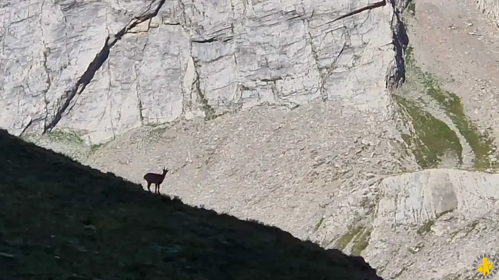 Les Alpes cottiennes de Bardonecchia à Cuneo