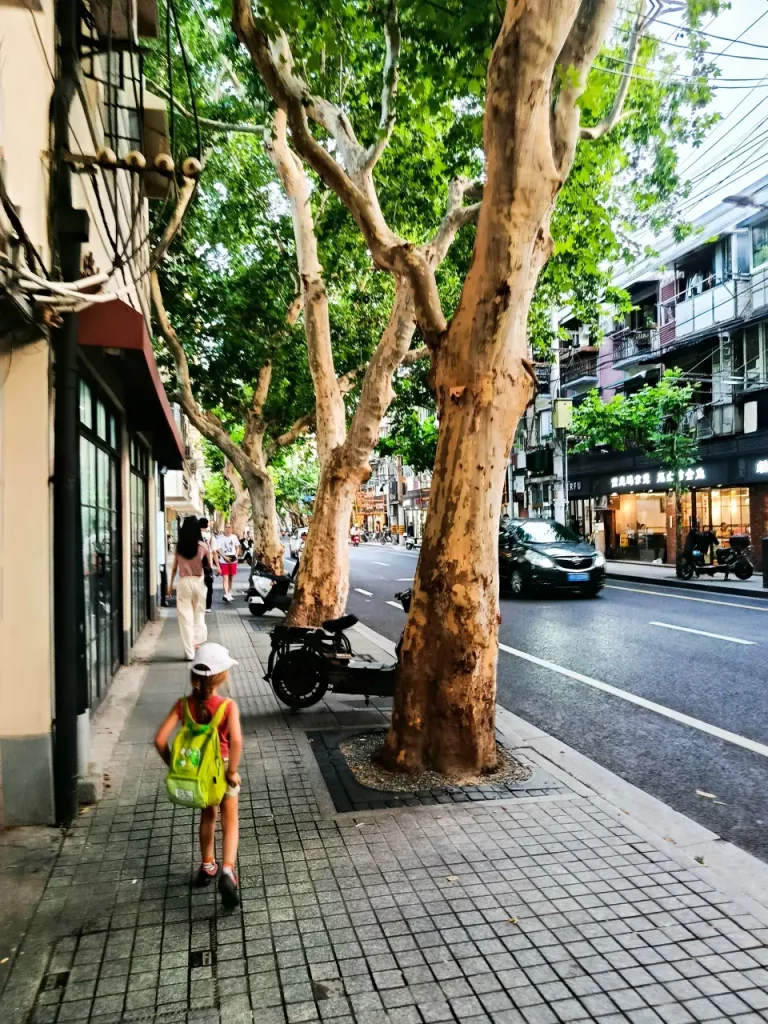 Le Sichuan en famille 52 Le Sichuan en famille