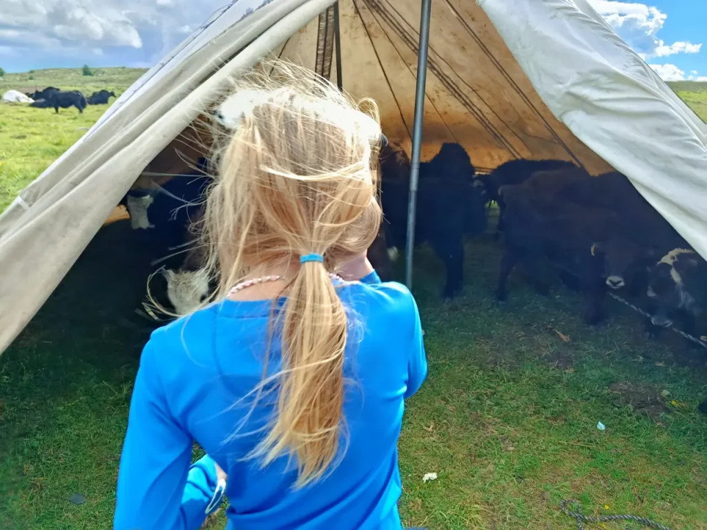 Le Sichuan en famille 32 Le Sichuan en famille