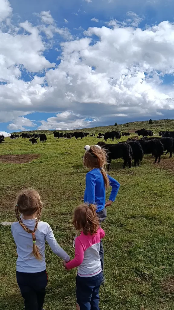 Le Sichuan en famille 33 Le Sichuan en famille