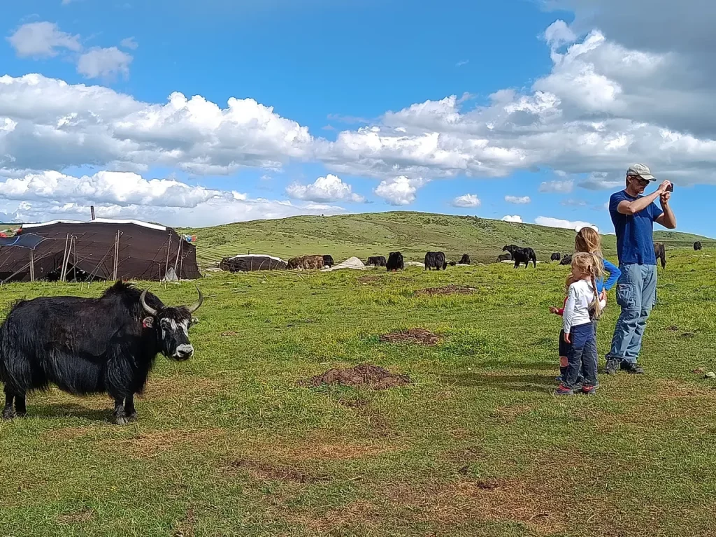 Le Sichuan en famille 34 Le Sichuan en famille