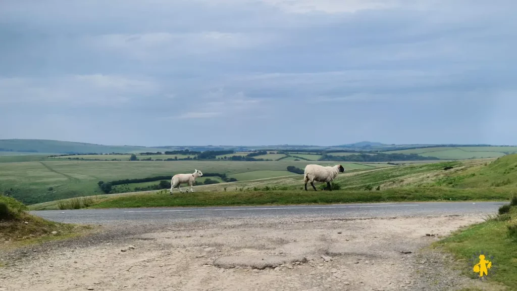 Sud de l'Angleterre : notre itinéraire familial de 2 semaines
