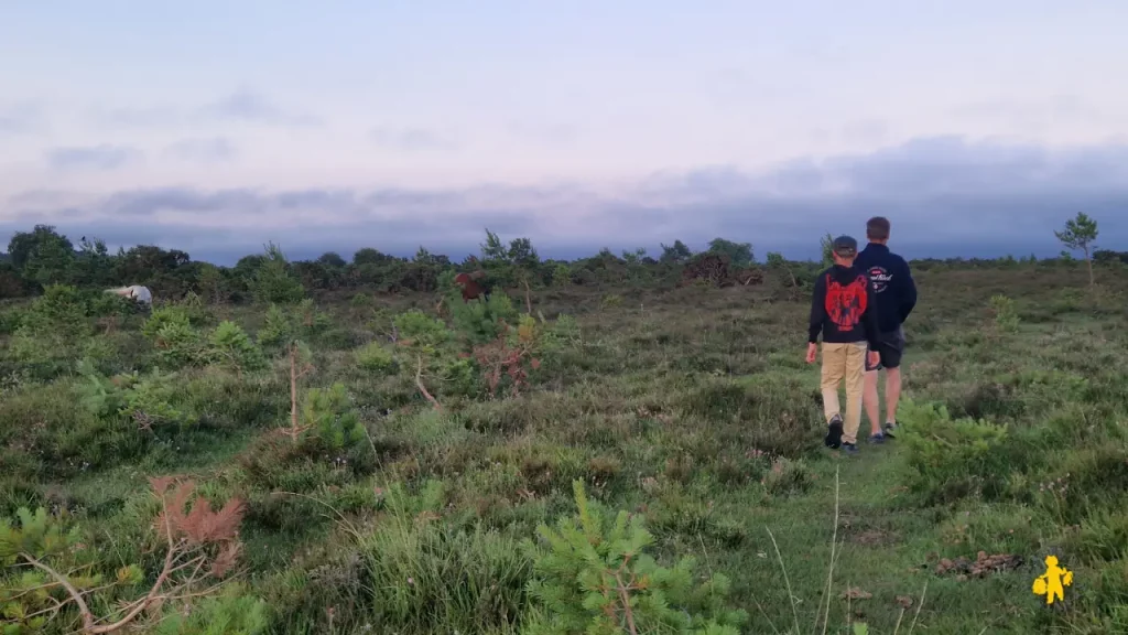 Sud de l'Angleterre : notre itinéraire familial de 2 semaines