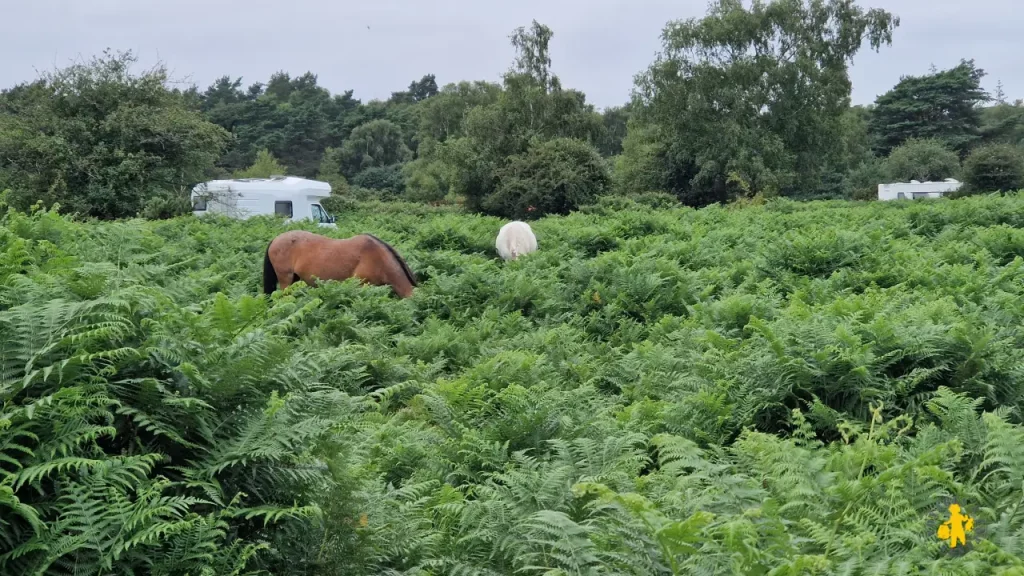 Sud de l'Angleterre : notre itinéraire familial de 2 semaines