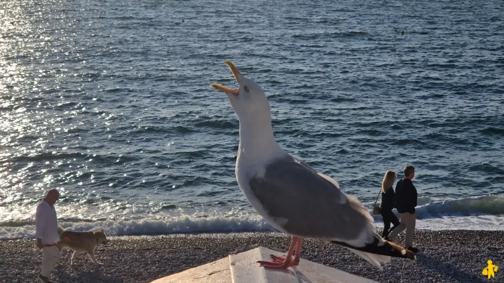 Visite d'Etretat en famille