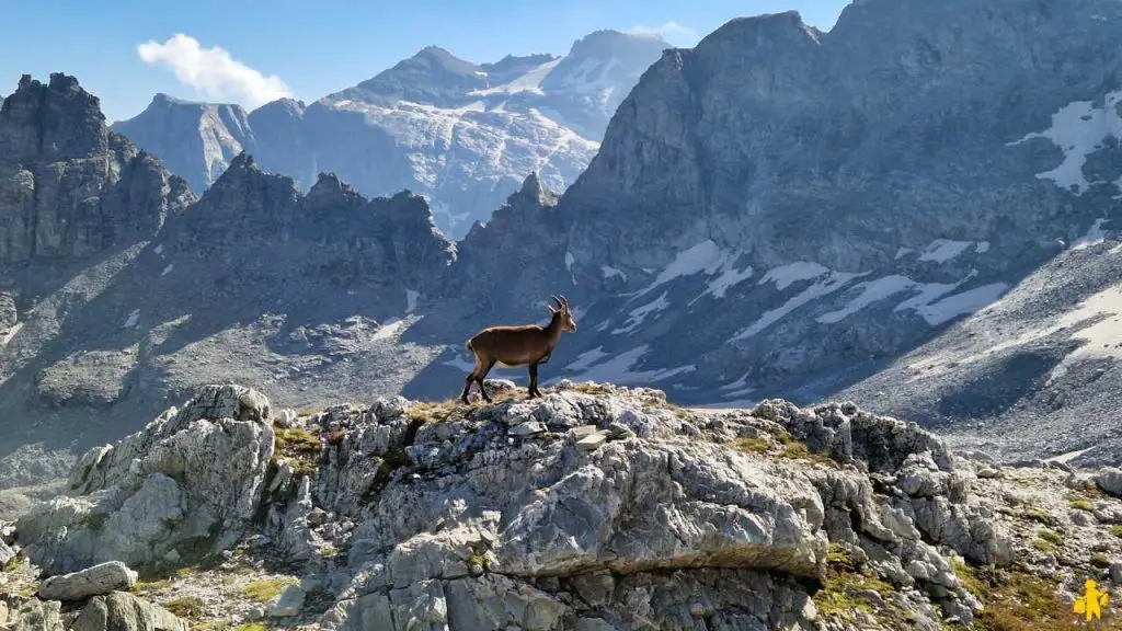 Visiter Alpes cottiennes - Bardonnechia