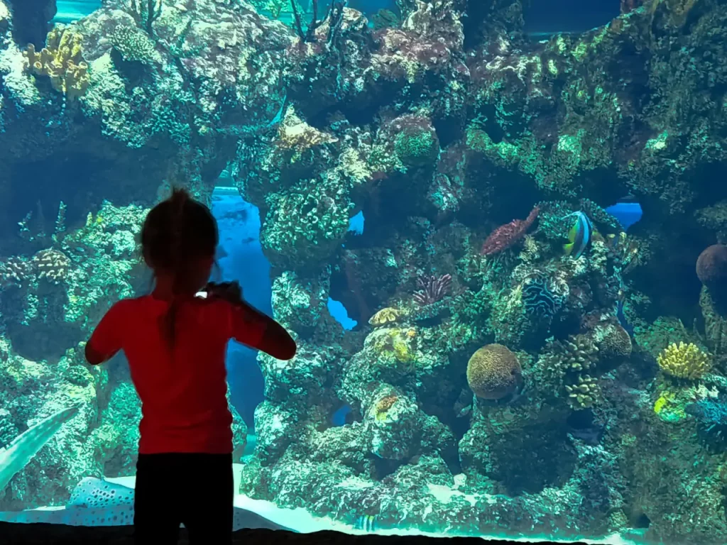 Itinéraire de 8 jours à Malte avec 3 enfants : témoignage 12 Aquarium malte avec enfant