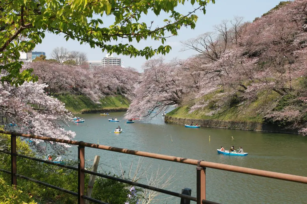 Road trip famille au Japon