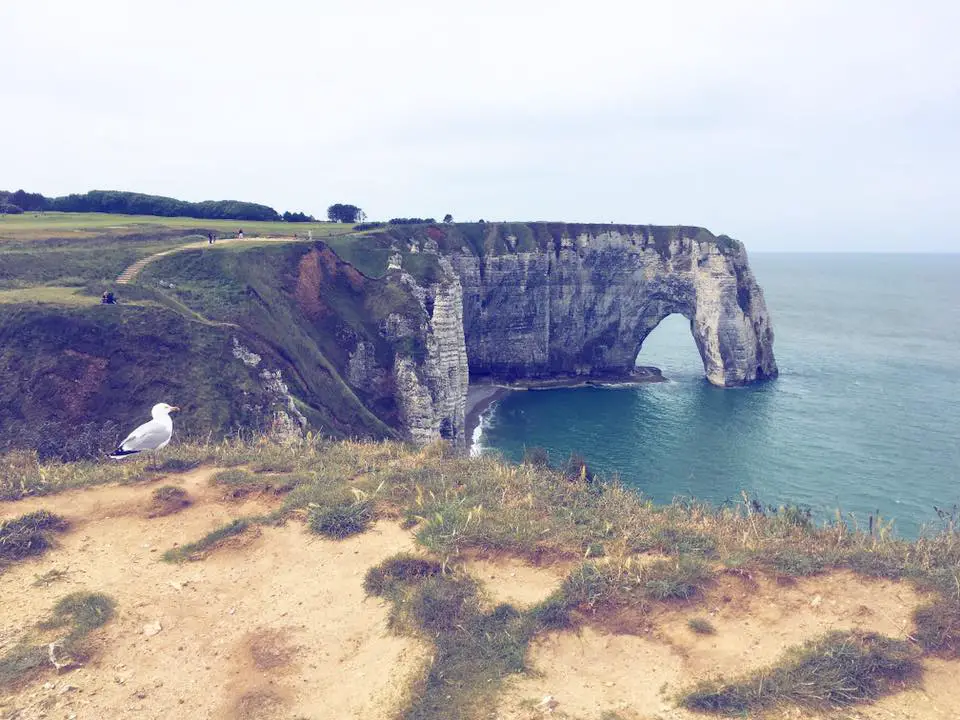 Falaises de la Côte d Road trip en France Idées pour les familles mais pas que | Blog VOYAGES ET ENFANTS'Albatre