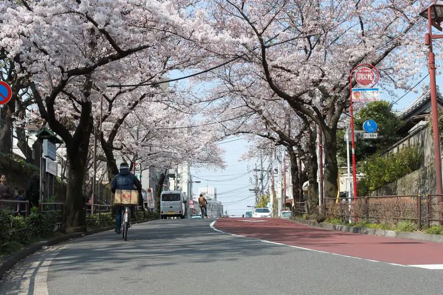 road trip au printemps au Japon en famille