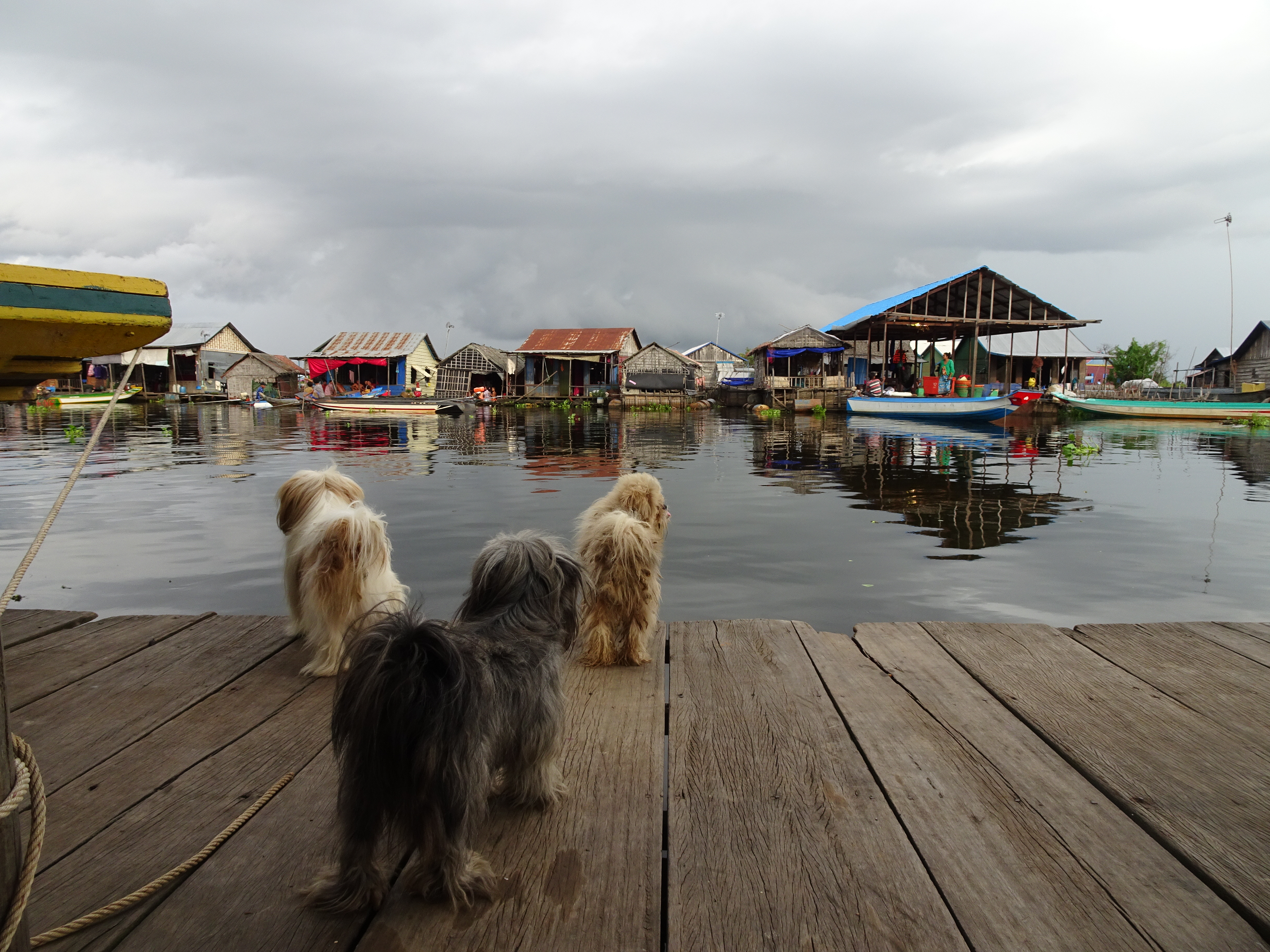 Cambodge en famille : tonle sap village flottant